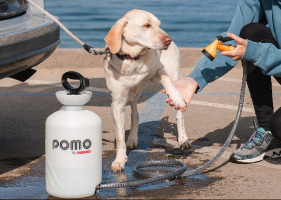 POMO High Pressure Outdoor Portable Shower or Sprayer with Hand Pump, 1.5 Gallon