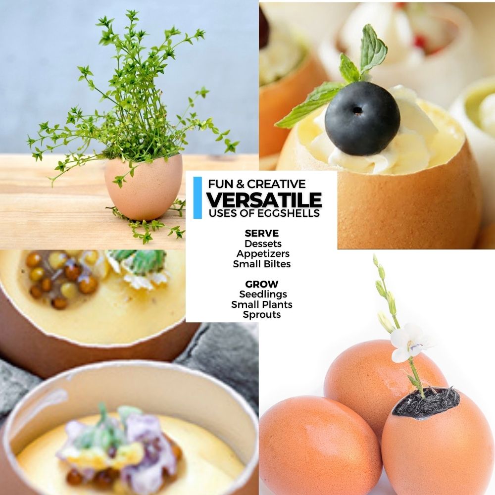 ICO Stainless Steel Egg Topper, Opener, Cracker & Eggshell Remover